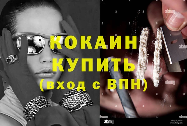 индика Алзамай