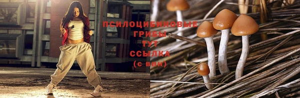 индика Алзамай