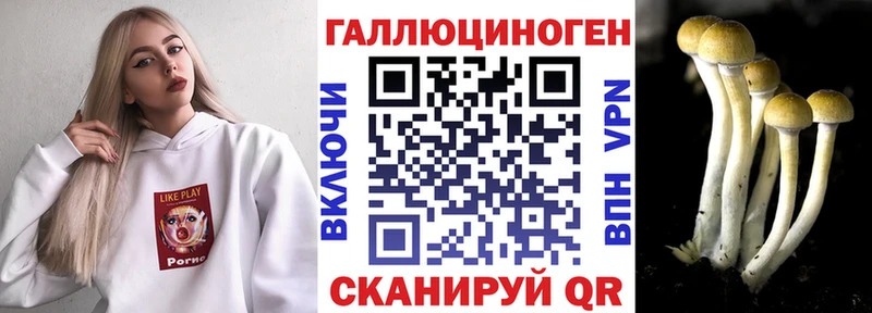 Псилоцибиновые грибы мицелий Заводоуковск